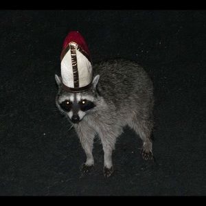 Meet your Posher, Jacob